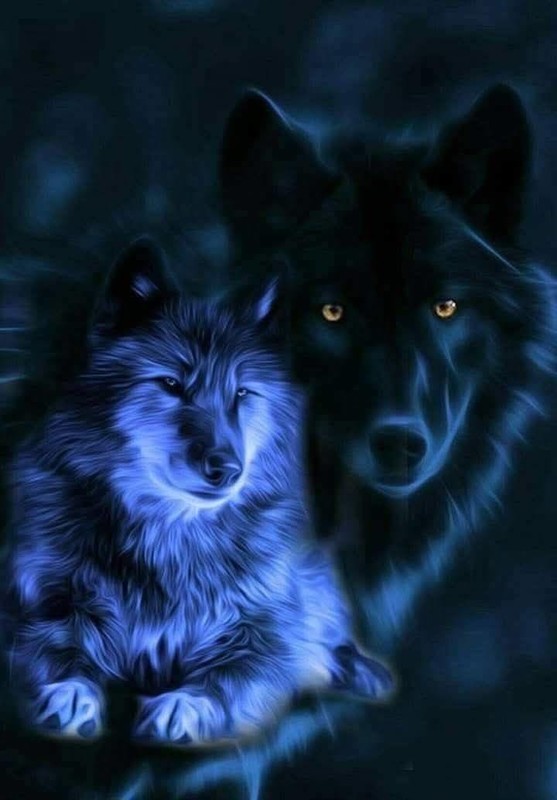 LOUP 2