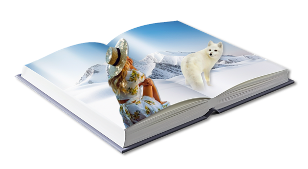 LIVRE 2