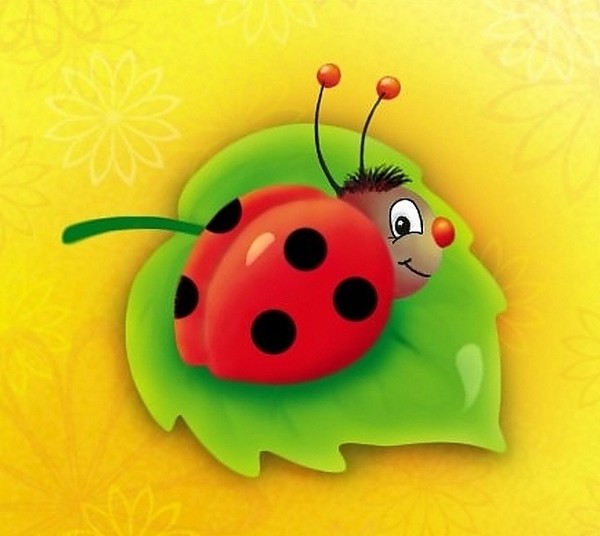 COCCINELLE 3