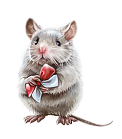 SOURIS RAT HAMSTER... 2