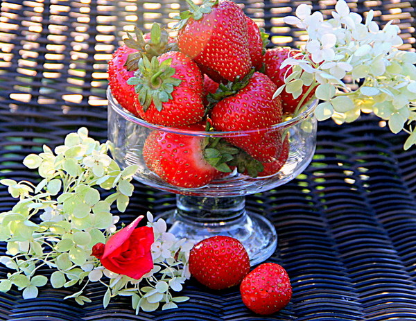 LES FRAISES