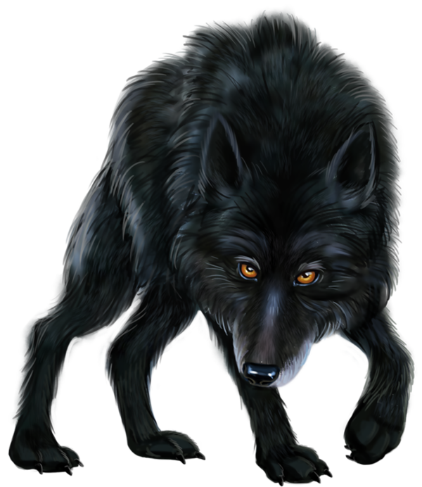 LOUP