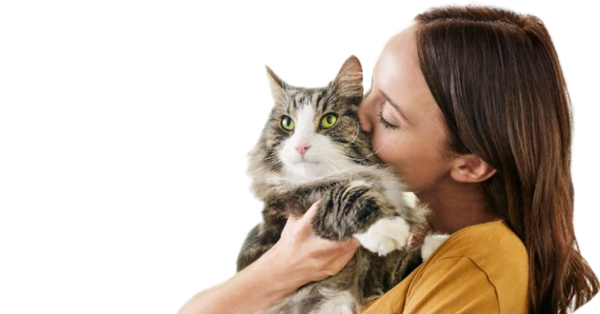 TUBE FILLE AVEC ANIMAUX 6