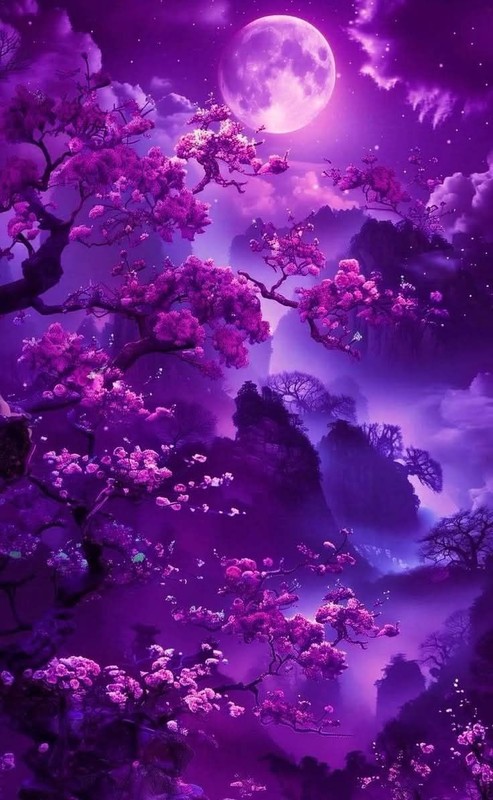 FOND POUR CREATIONS 8