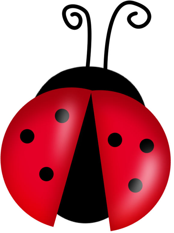 COCCINELLE