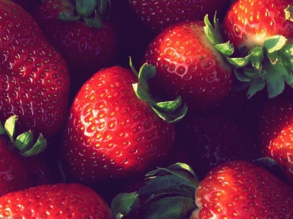 LES FRAISES