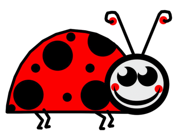 COCCINELLE