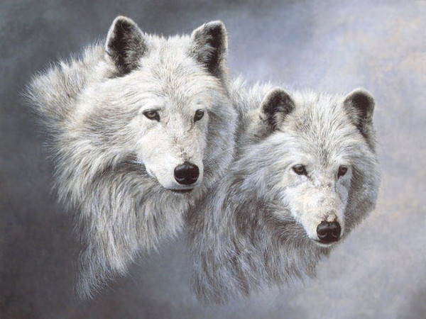 LOUPS