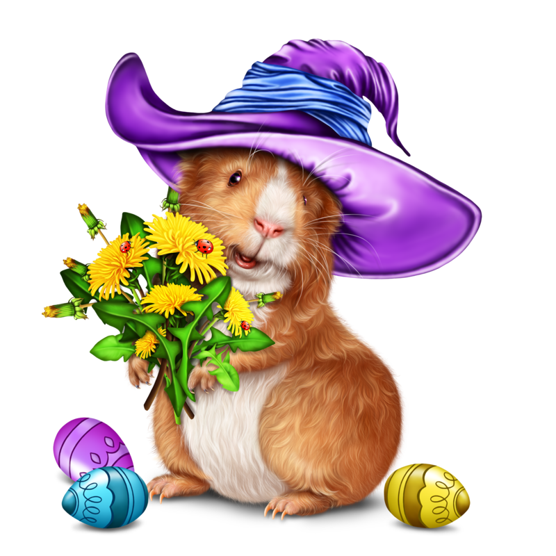 easter-guinea-pig-1.png