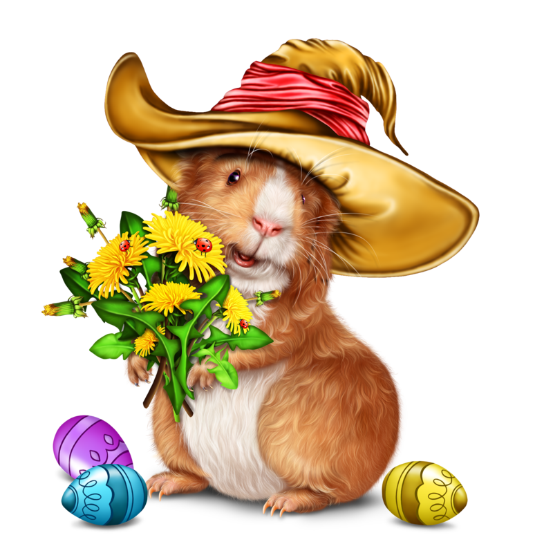 easter-guinea-pig-27.png