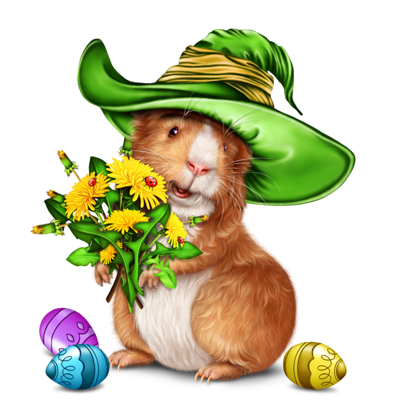 easter-guinea-pig-28.png