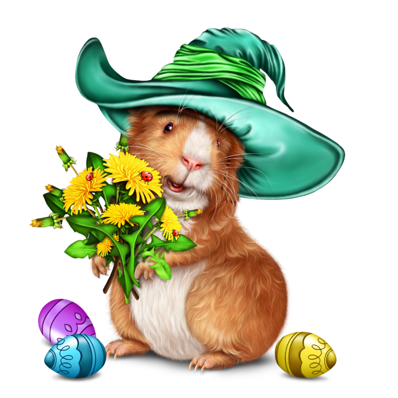 easter-guinea-pig-30.png