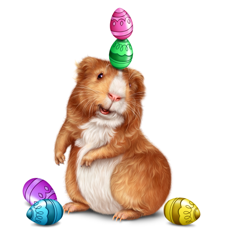 easter-guinea-pig-32.png