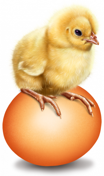 easter_fox_and_chick_3