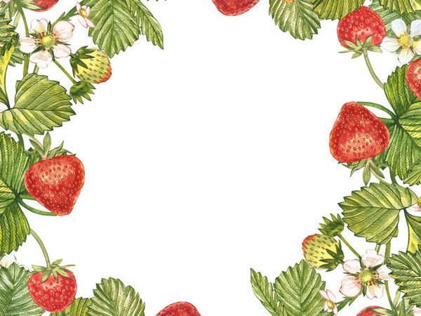 LES FRAISES 2