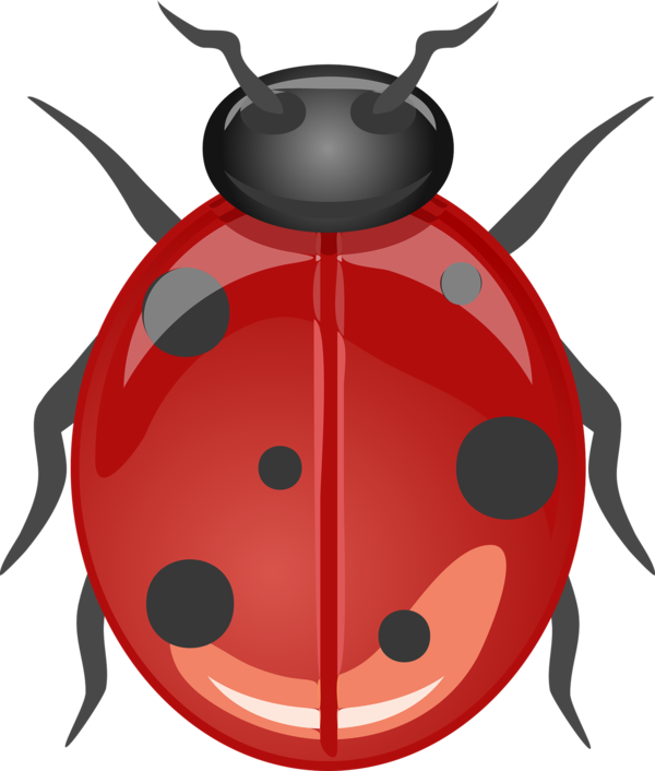 COCCINELLE