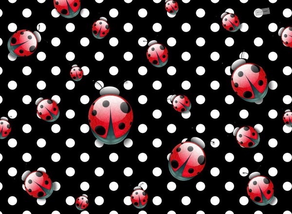 COCCINELLES