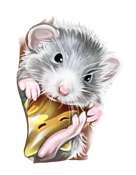 SOURIS RAT HAMSTER... 2