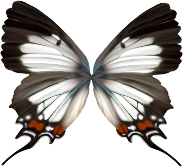 PAPILLON