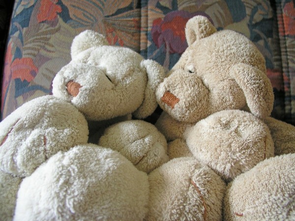 LES PELUCHES (OURS ET COMPAGNIES) 2