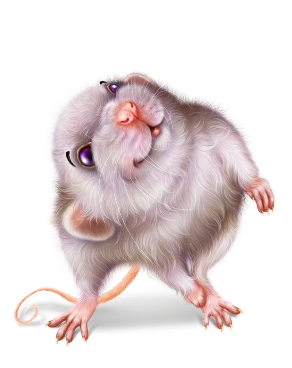 SOURIS RAT HAMSTER... 2