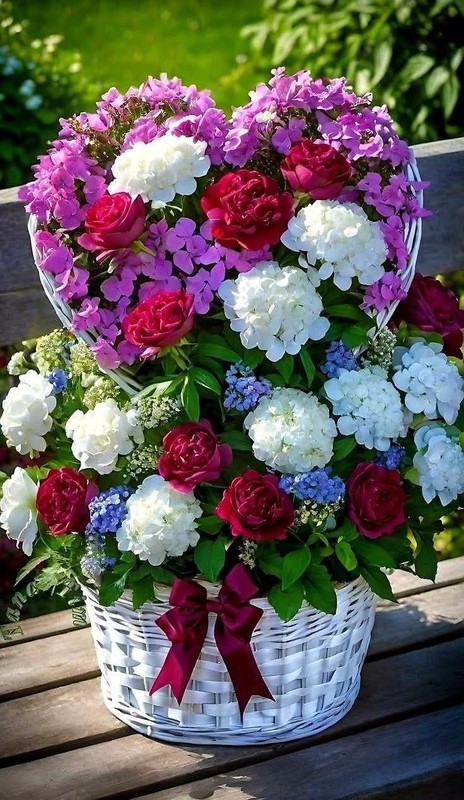 FLEURS 5