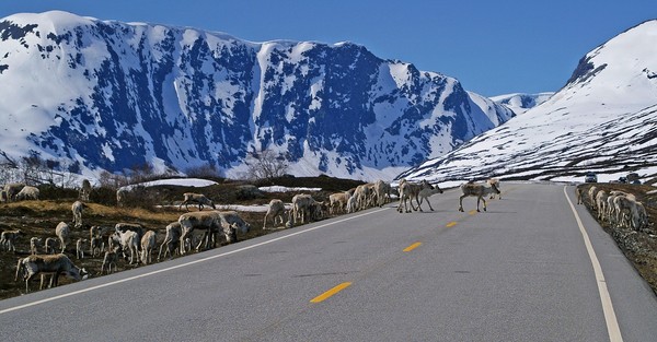 LA ROUTE