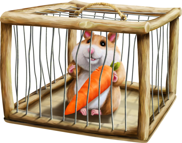 SOURIS RAT HAMSTER... 2