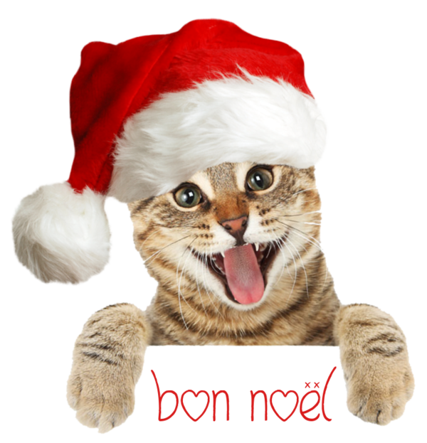 TUBE NOEL TEXTE