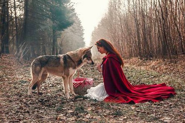 LE CHAPERON ROUGE