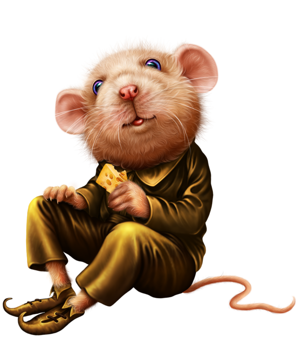 SOURIS RAT HAMSTER... 2