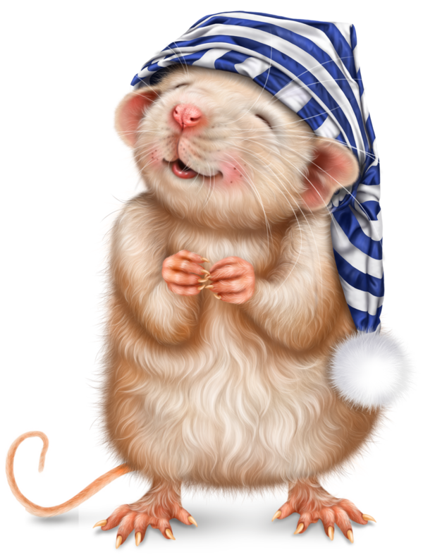 SOURIS RAT HAMSTER... 2