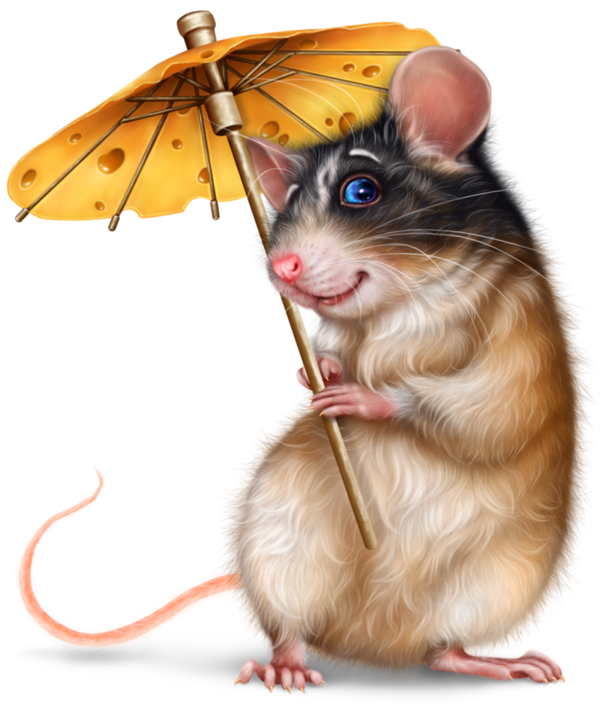 SOURIS RAT HAMSTER... 2