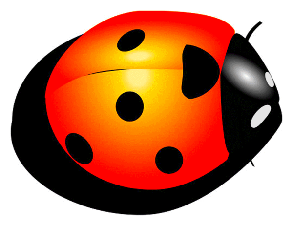 COCCINELLE