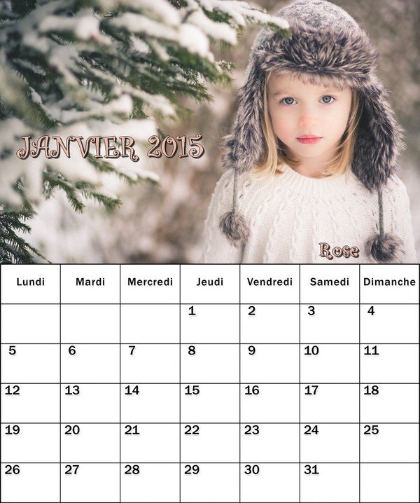 CALENDRIER JANVIER 2O15