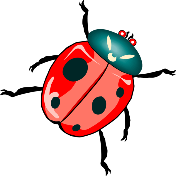 COCCINELLE