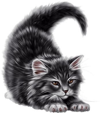 CHAT 7
