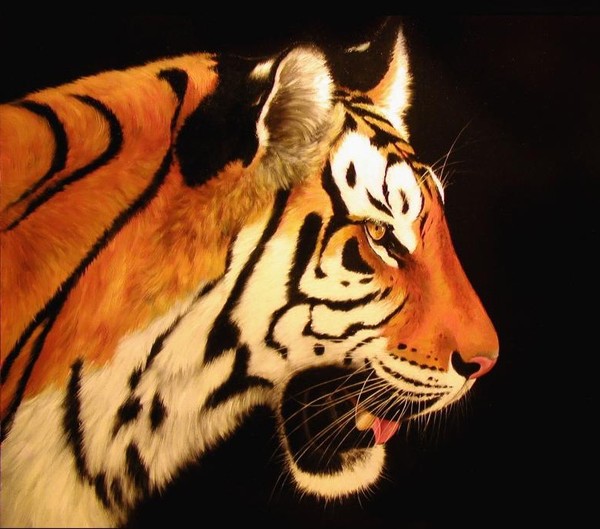 TIGRE