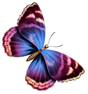 PAPILLON