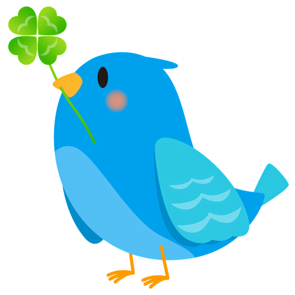 TUBE SAINT PATRICK ANIMAUX