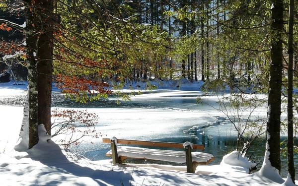 LE BANC