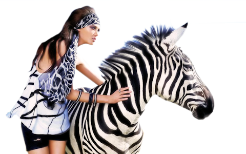 ZEBRE