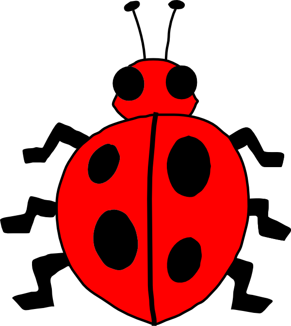 COCCINELLE