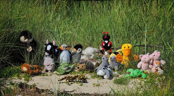 LES PELUCHES (OURS ET COMPAGNIES) 2