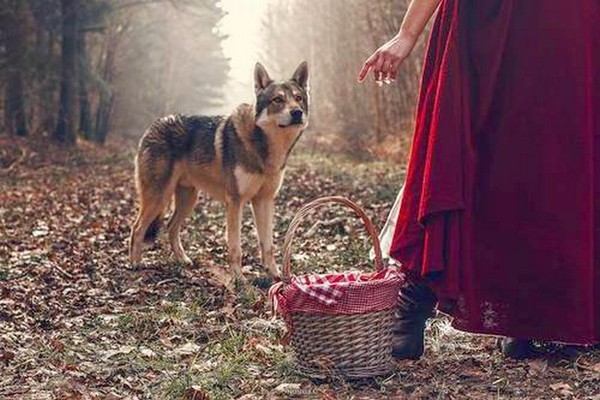 LE CHAPERON ROUGE