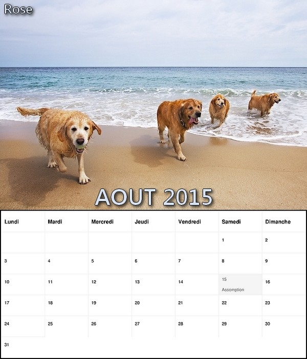 CALENDRIER AOUT 2015