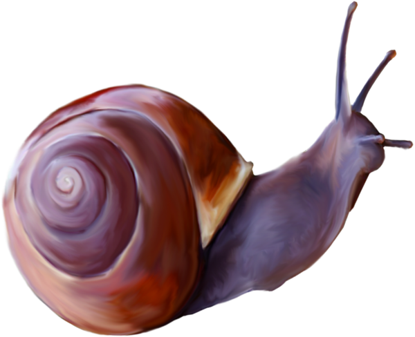 ESCARGOT