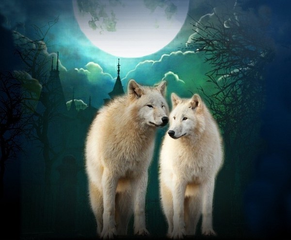 LOUPS