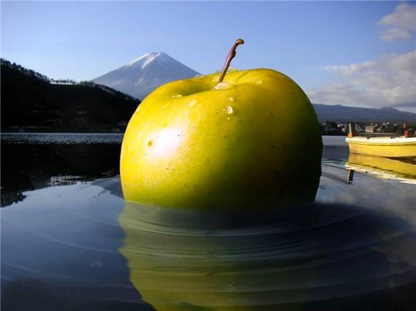 LA POMME