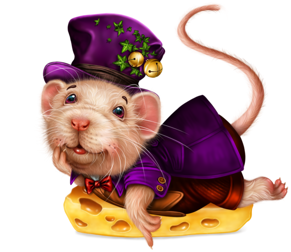 SOURIS RAT HAMSTER... 2